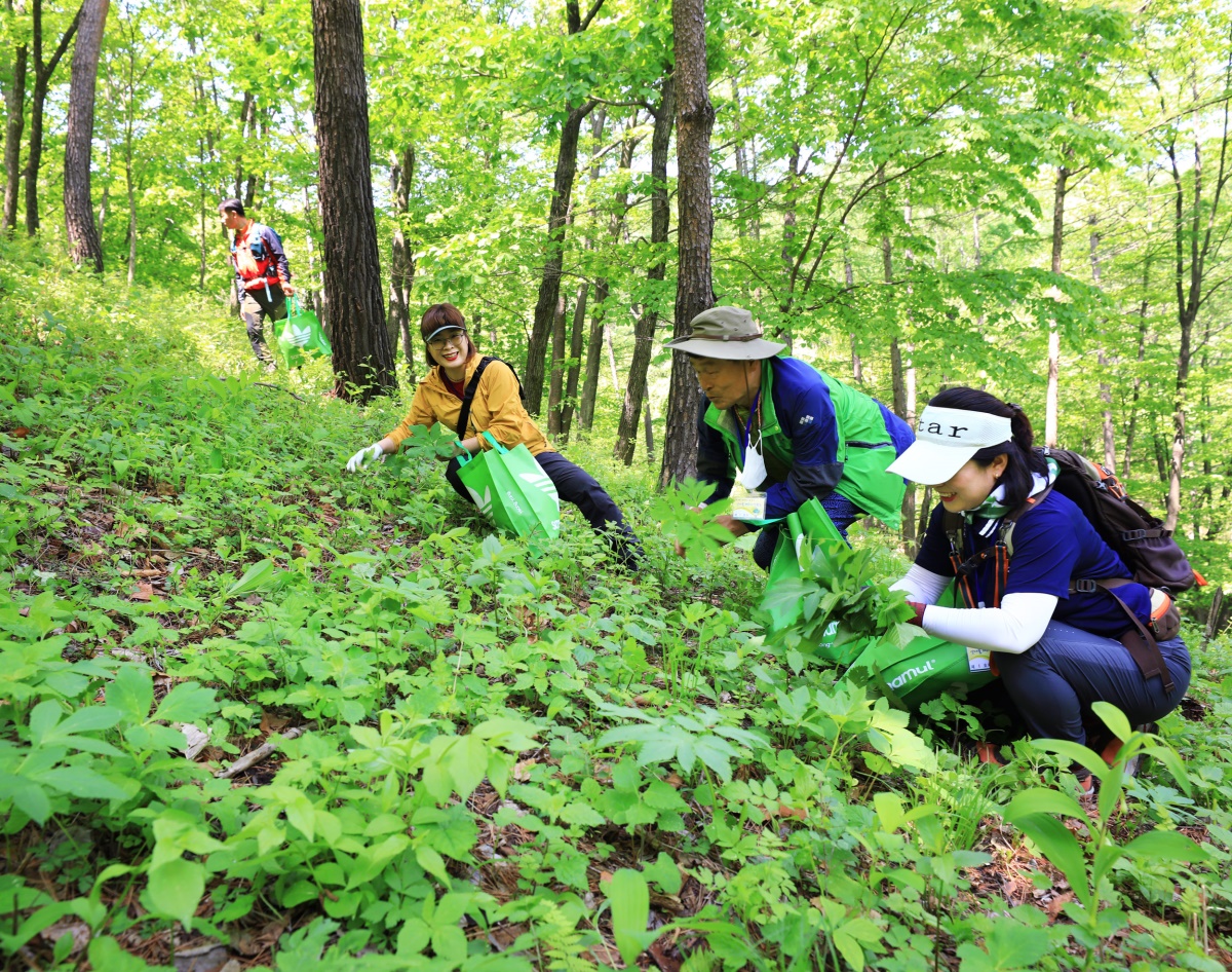 [영양군 제공]