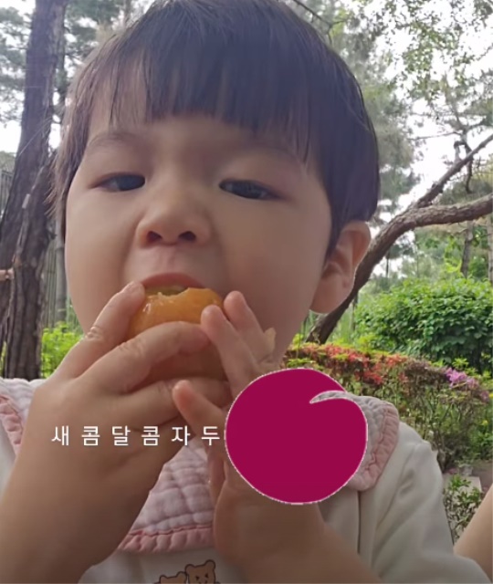 홍현희 채널