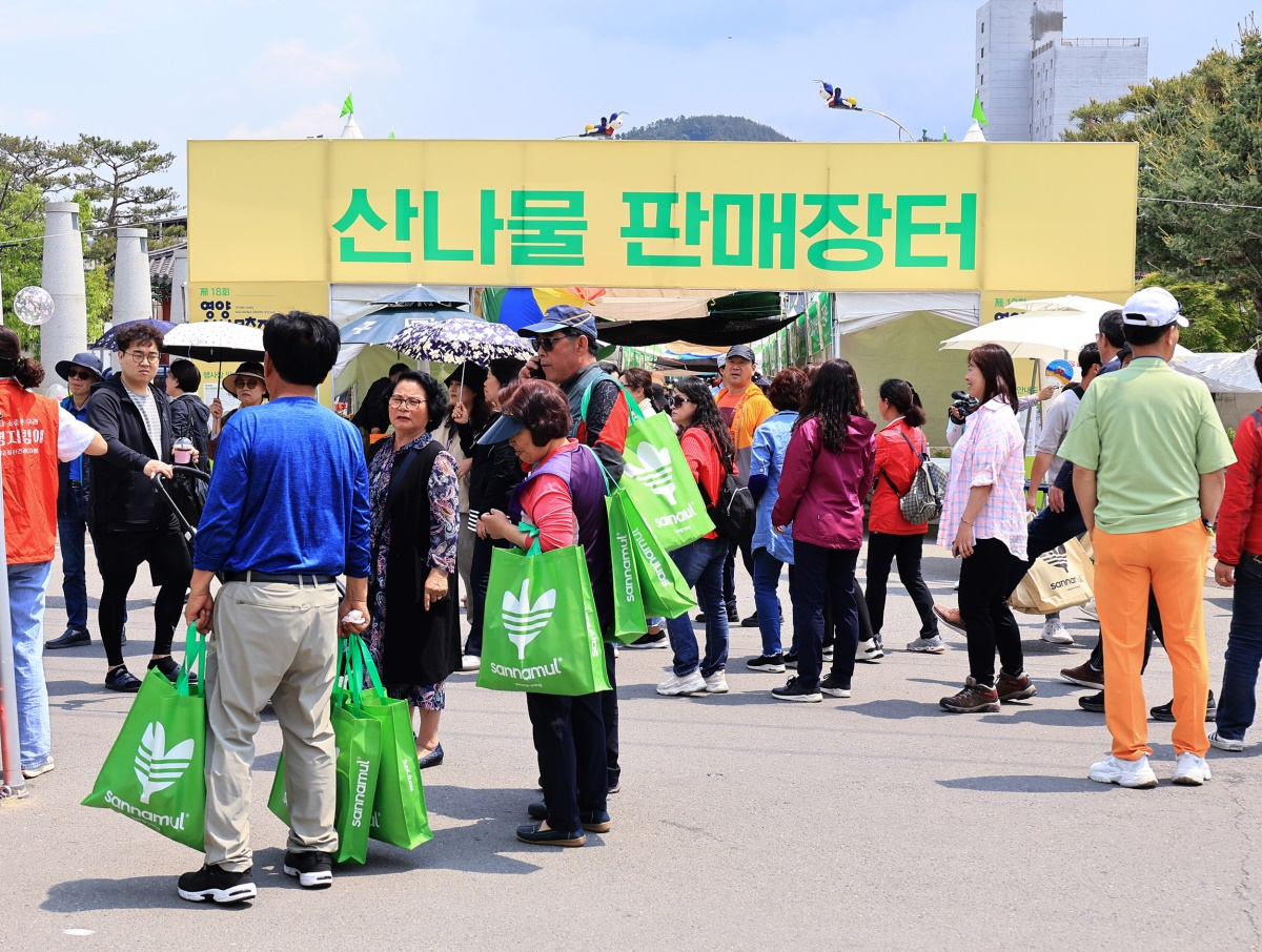 [영양군 제공]