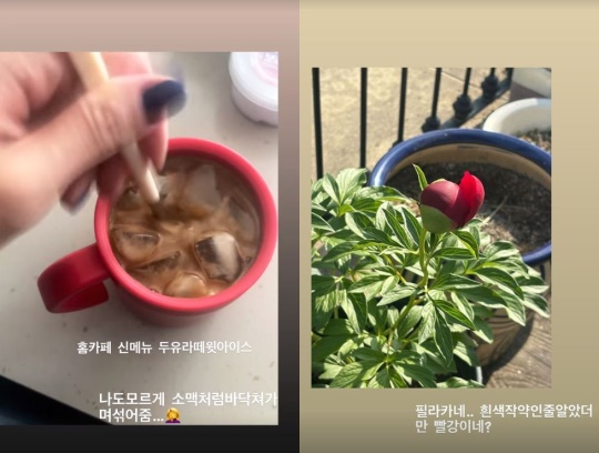 이윤지 채널