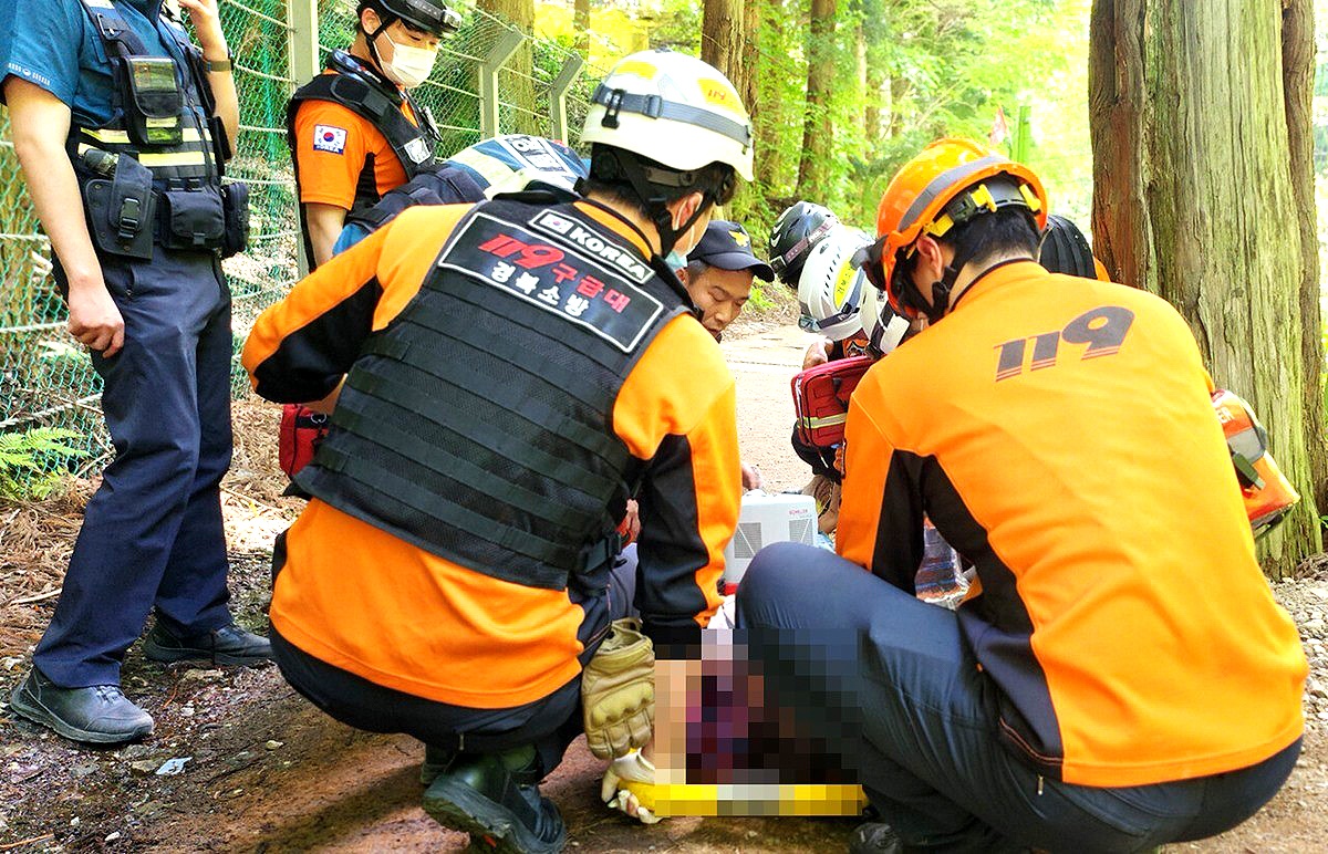 3일 오전9시쯤 울릉군 봉래폭포에서  50대 관광객이  갑자기 쓰러져   출동한 119  구조대가 응급처지를 하고 있다(울릉119안전센터 제공)
