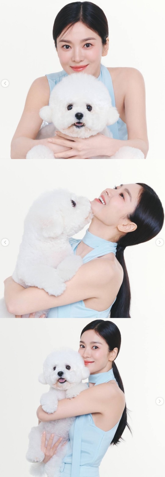 송혜교 채널