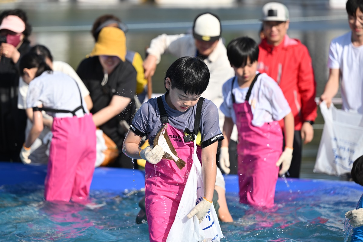 제14회 영덕 물가자미 축제 중 맨손 물고기잡이 체험 현장 모습.[영덕군 제공]