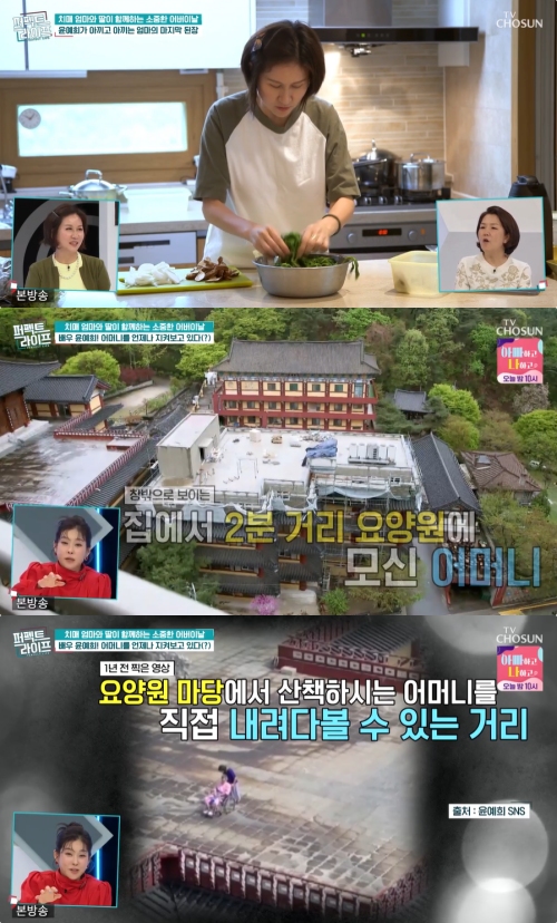 TV조선 '퍼펙트 라이프' 방송화면 캡처