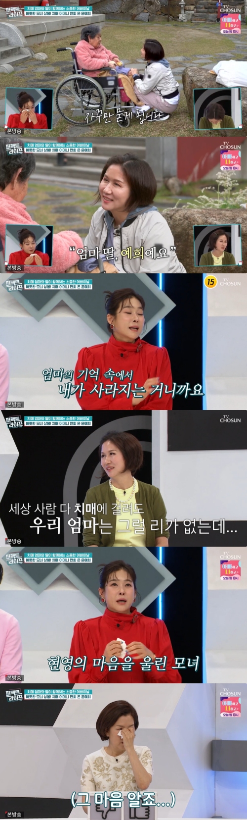 TV조선 '퍼펙트 라이프' 방송화면 캡처