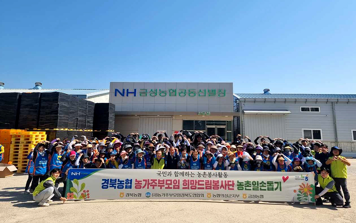 경북농협과 (사)농가주부모임 희망드림봉사단이 금성농협과 함께 의성군 금성면 일대 마늘 농가를 찾아 일손돕기후 단체 기념사진을 찍고 있다(의성군 제공)