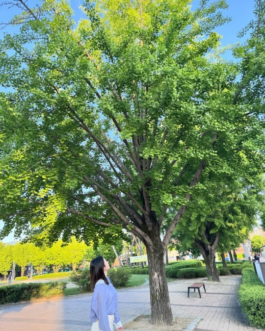 이은주 채널