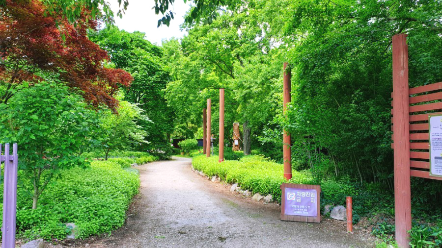 포항의 기청산식물원(헤럴드 DB)