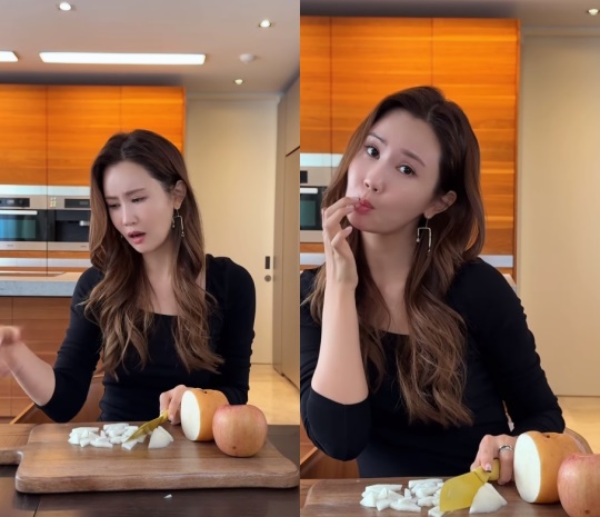 이다해 채널