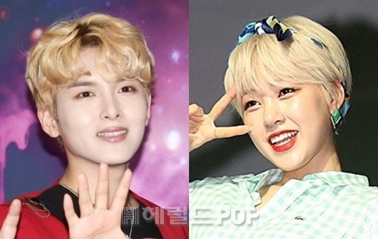 려욱, 아리/사진=헤럴드POP DB