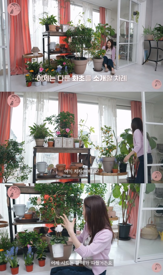 강수지 유튜브 캡처