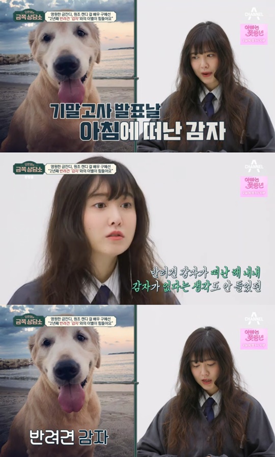 채널A '금쪽 상담소' 캡처