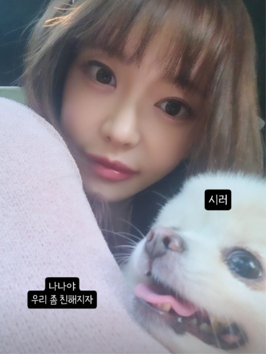 서유리 채널