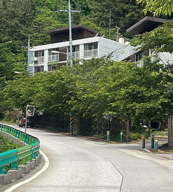울릉도 저동 LH임대 주택 내 키가 큰 조경수 가지가 도로를 덮친 급커브길이 보기만 해도 아찔하다(독자 제공)