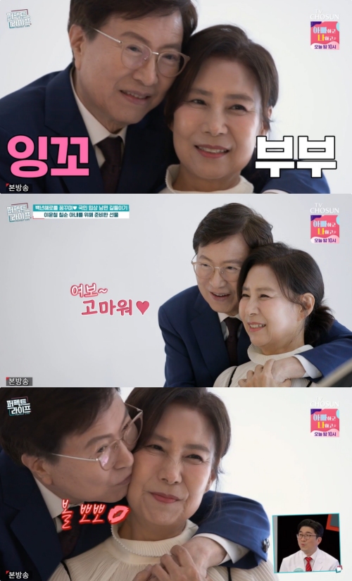 TV조선 '퍼펙트 라이프' 방송화면 캡처