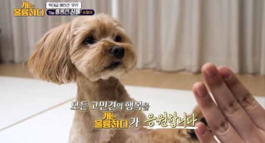 사진=KBS2 방송 화면 캡쳐