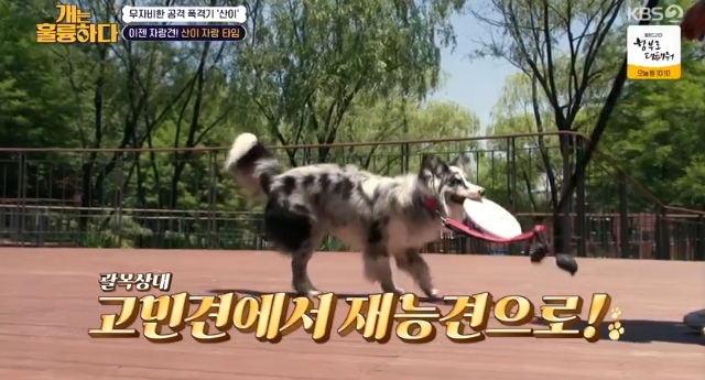 사진=KBS2 방송 화면 캡쳐