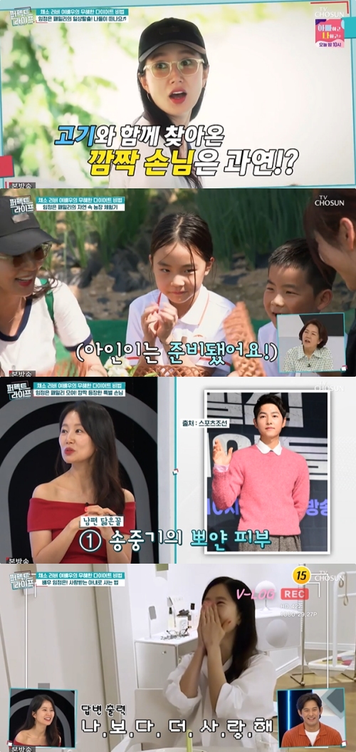 TV조선 '퍼펙트 라이프' 방송화면 캡처