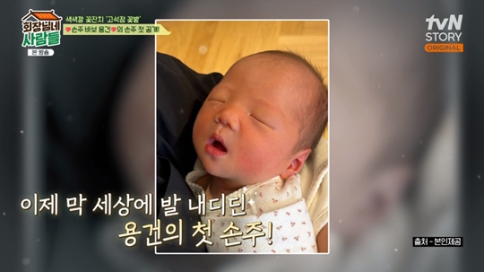 tvN STORY ‘회장님네 사람들‘캡처
