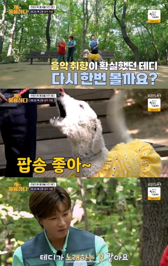 사진=KBS2 방송 화면 캡쳐