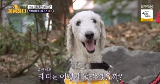 사진=KBS2 방송 화면 캡쳐