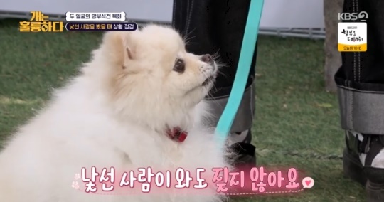 사진=KBS2 방송 화면 캡쳐