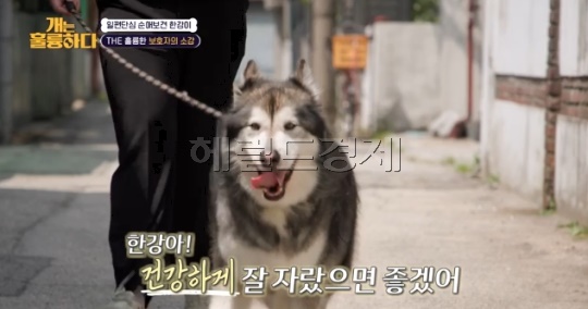 사진=KBS2 방송 화면 캡쳐