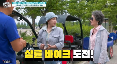 TV조선 '퍼펙트 라이프' 방송화면 캡처