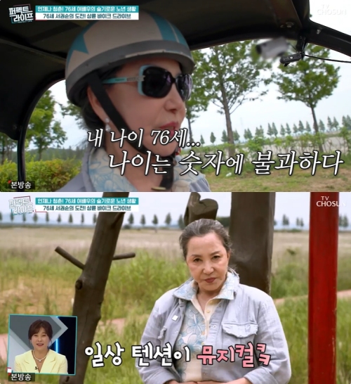 TV조선 '퍼펙트 라이프' 방송화면 캡처