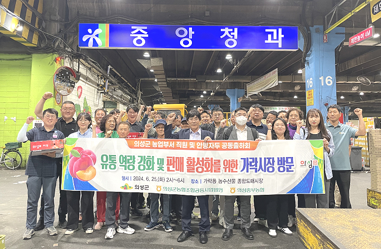 지난 25일 의성 중부농협 자두 공동출하회원, 의성 조공법인, 농업분야 공무원 등 30여 명이 서울 가락 농수산물도매시장을 방문해 자두 경매를 참관하고 유통 확대를 위한 홍보 및 현장 간담회를 진행했다. (의성군제공)