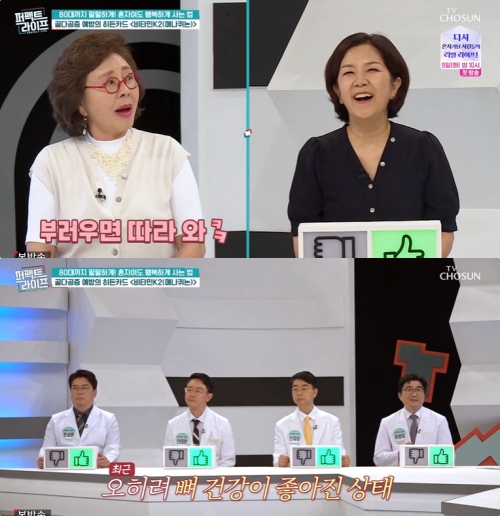 TV조선 '퍼펙트 라이프' 방송화면 캡처