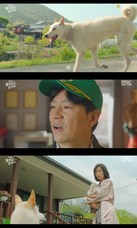 MBC '나는 돈가스가 싫어요' 방송캡쳐