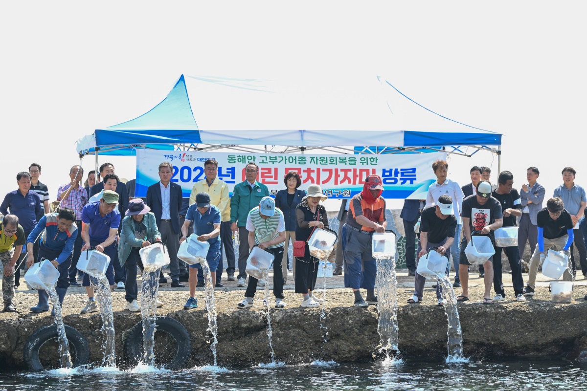 영덕군이 지난 4일 축산면 경정2리, 경정3리에서 어린 문치가자미를 방류하고 있다.[영덕군 제공]