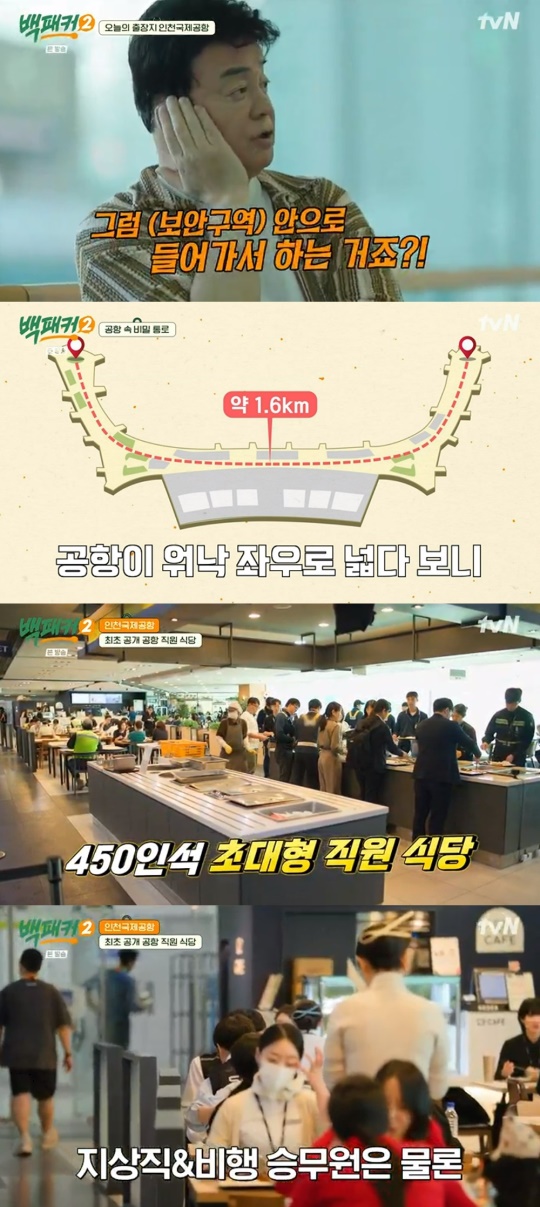 tvN '백패커2' 캡처
