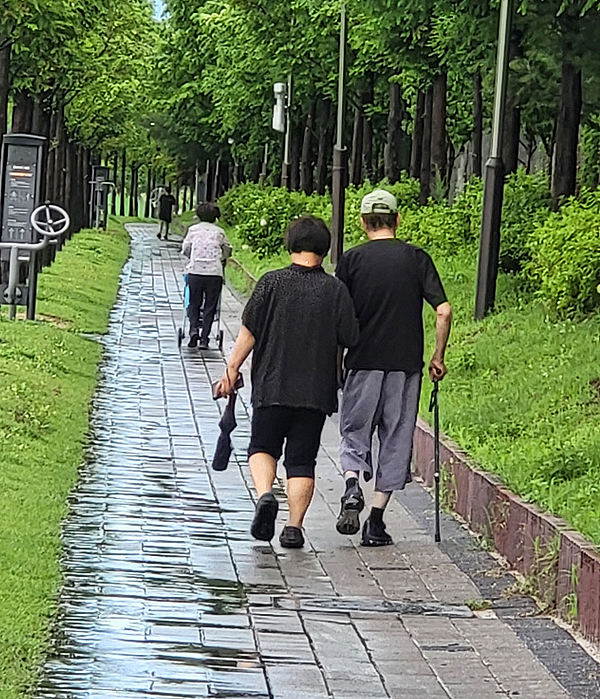 영가흥 신도시 완충녹지 공원내 메타세콰이어 산책로에  배수가 되지 않아 산책나온 시민들이 빗물을 피해 걸어가고 있다(사진=김성권 기자)
