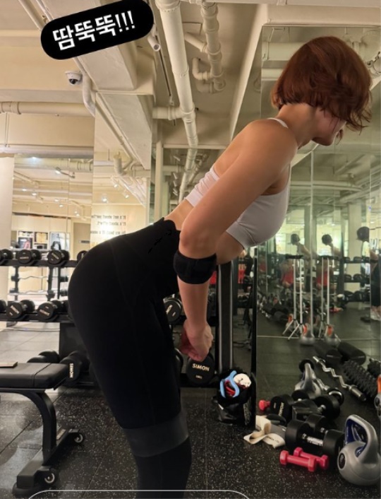 최은경 채널