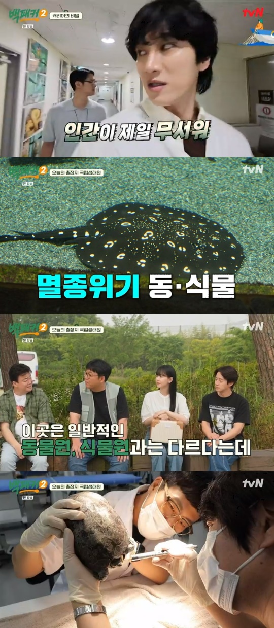 tvN '백패커2' 캡처