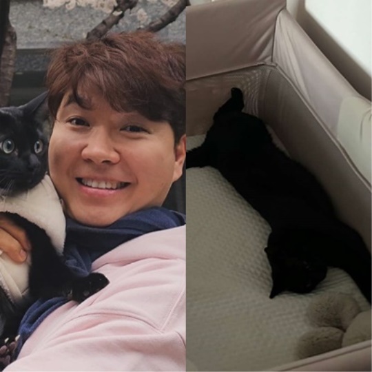 박수홍 채널