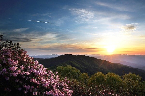 소백산 비로봉 일대에서 바라본 장엄한 일출과 철쭉, (영주시 제공)