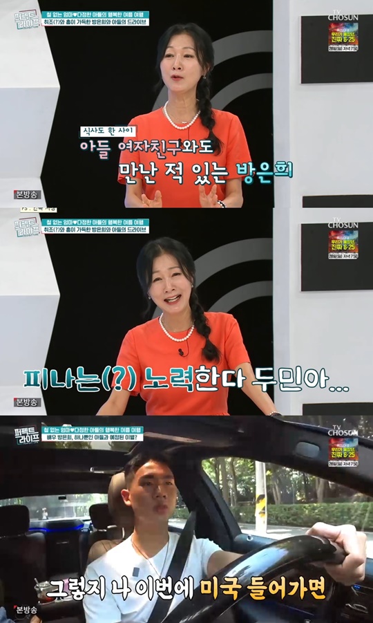 TV조선 '퍼펙트 라이프' 캡처