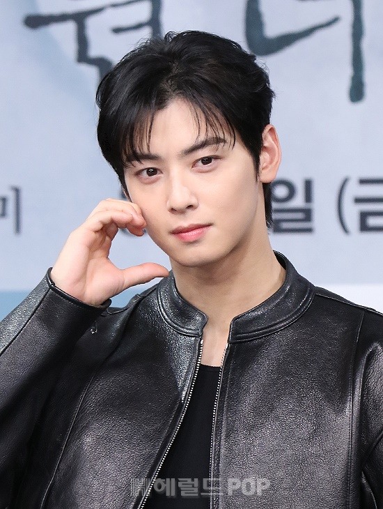 차은우/사진=헤럴드POP DB