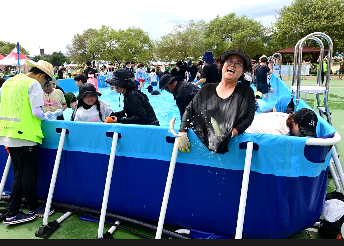 봉화은어축제 방문객들이 '은어 맨손잡이'에 참가해 은어를 잡고 있다. (봉화군 제공)