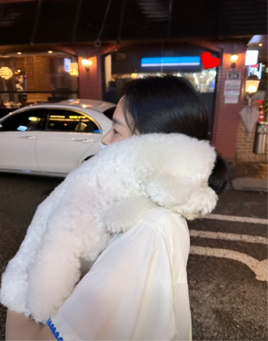 송혜교 채널