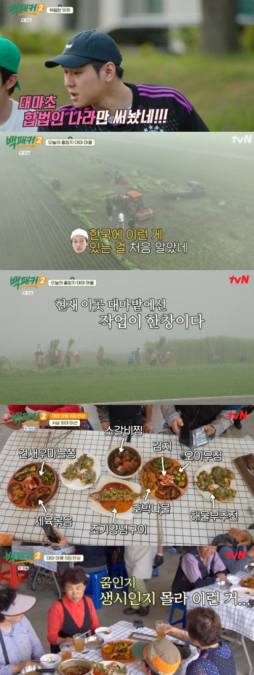 tvN ‘백패커2’ 방송화면 캡처