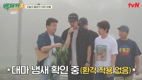 tvN ‘백패커2’ 방송화면 캡처