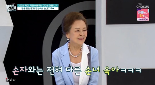 TV조선 '퍼펙트라이프' 캡처