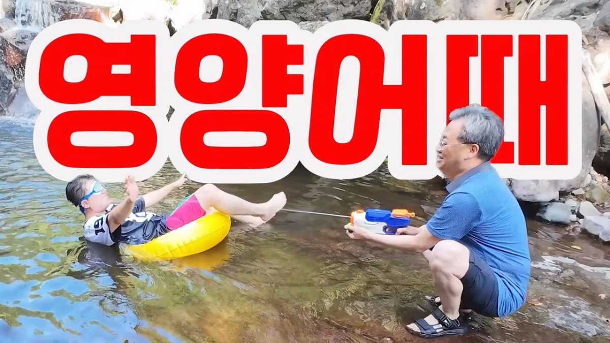 [영양군 제공]