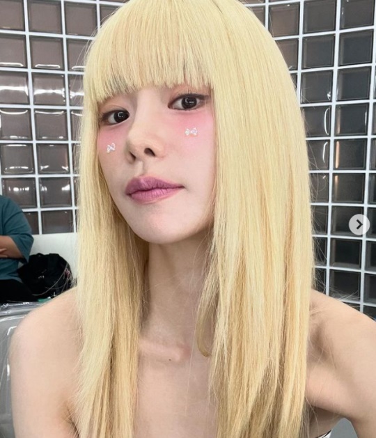 임지연 채널