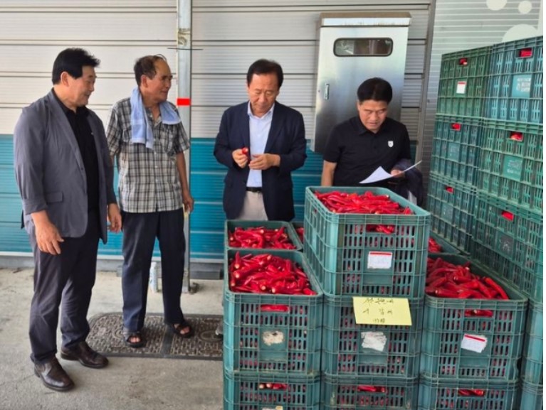 박현국(왼쪽 세번째) 봉화군수가 출하된 홍고추를 살펴보고 있다. (봉화군 제공)