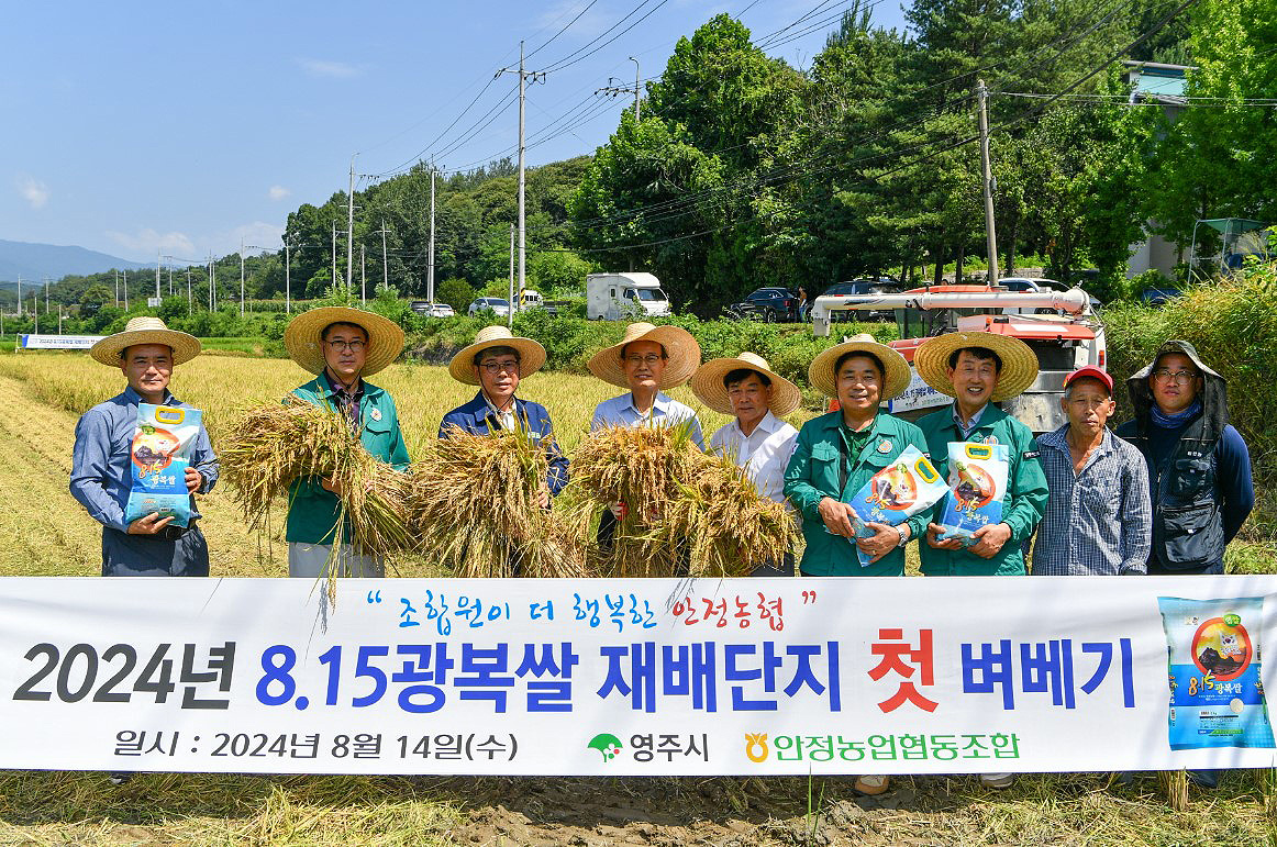 박남서 영주시장과 김병기 시의회 의장, 영주시의원,손기을 안정농협장등이 벼베기를 한후 기념사진을 찍고 있다(영주시 제공)